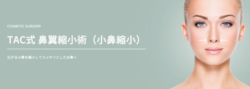 小鼻縮小　安い